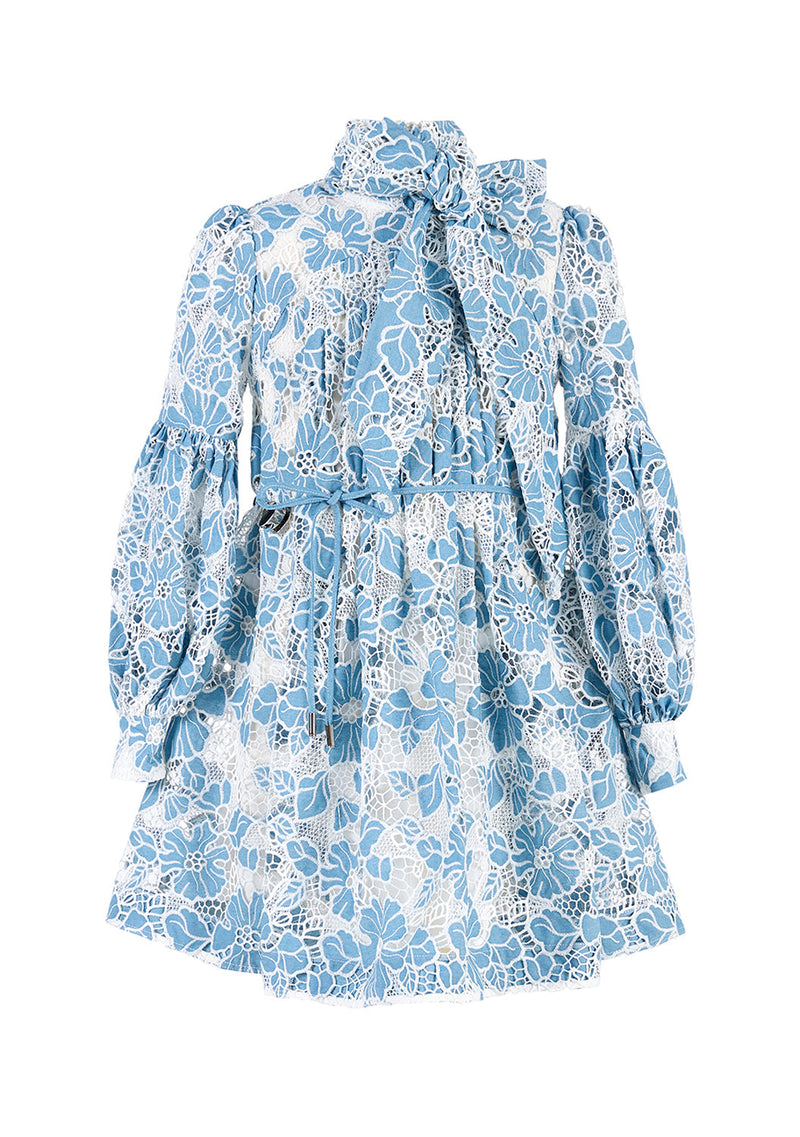 Lori Embroidered Mini Dress