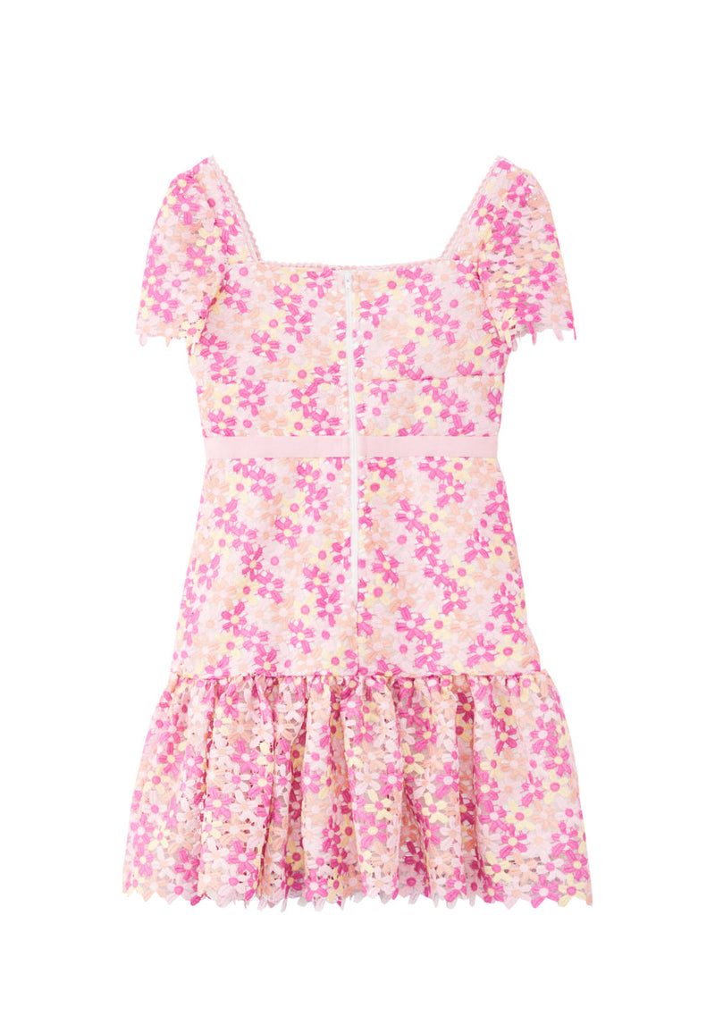 Pixie Embroidered Dress