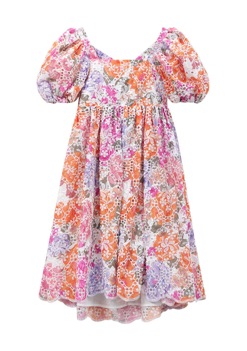 Alegra Embroidered Dress