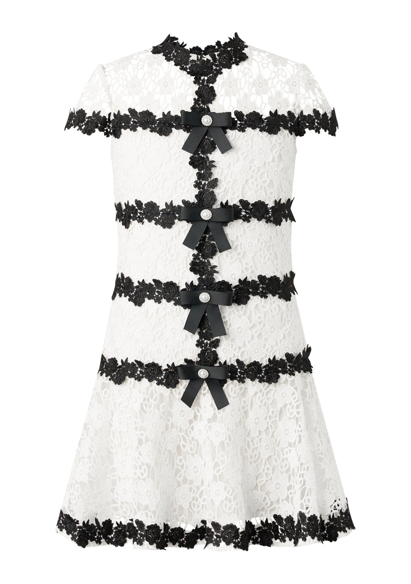 Aveline Embroidered Mini Dress