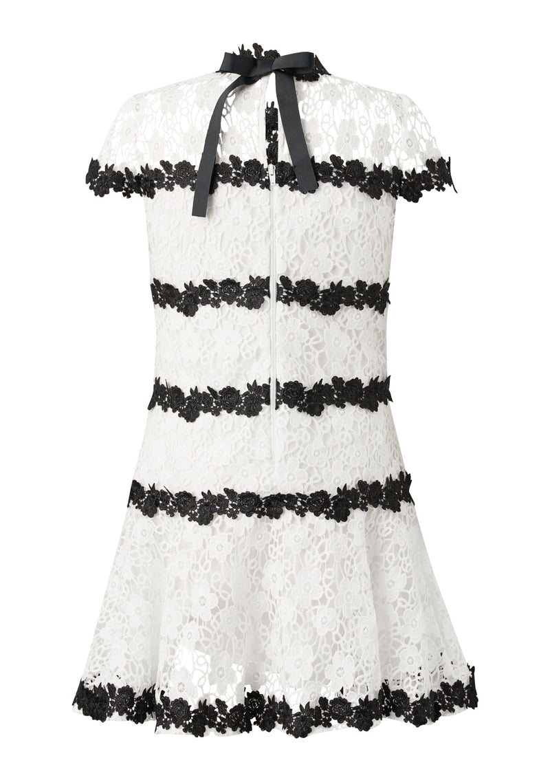 Aveline Embroidered Mini Dress