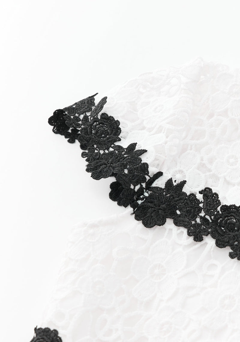 Aveline Embroidered Mini Dress