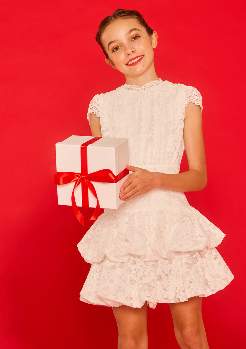 Rosella Lace Mini Dress