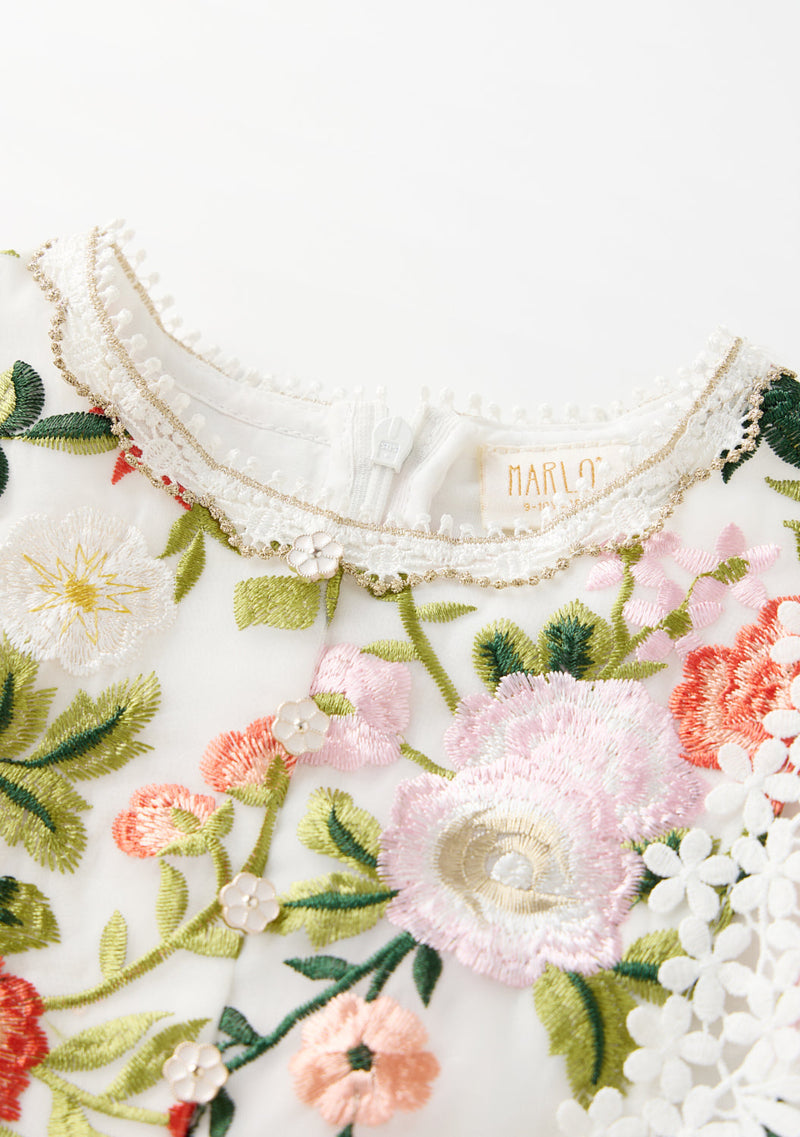 Allure Embroidered Mini Dress