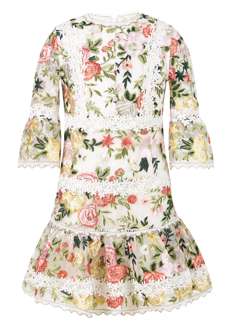 Allure Embroidered Sleeve Mini Dress