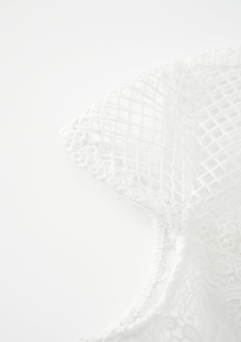 Annalisa Lace Mini Dress