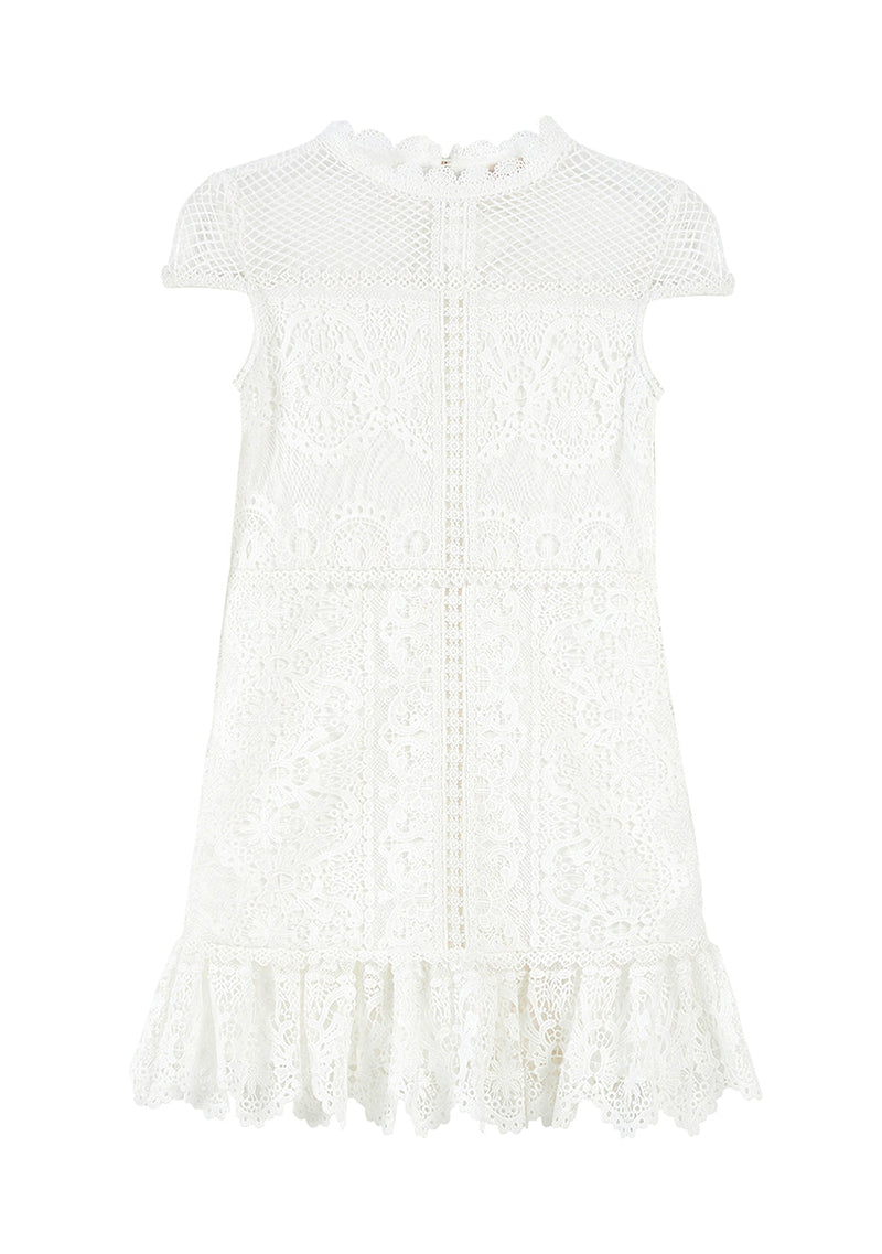 Annalisa Lace Mini Dress