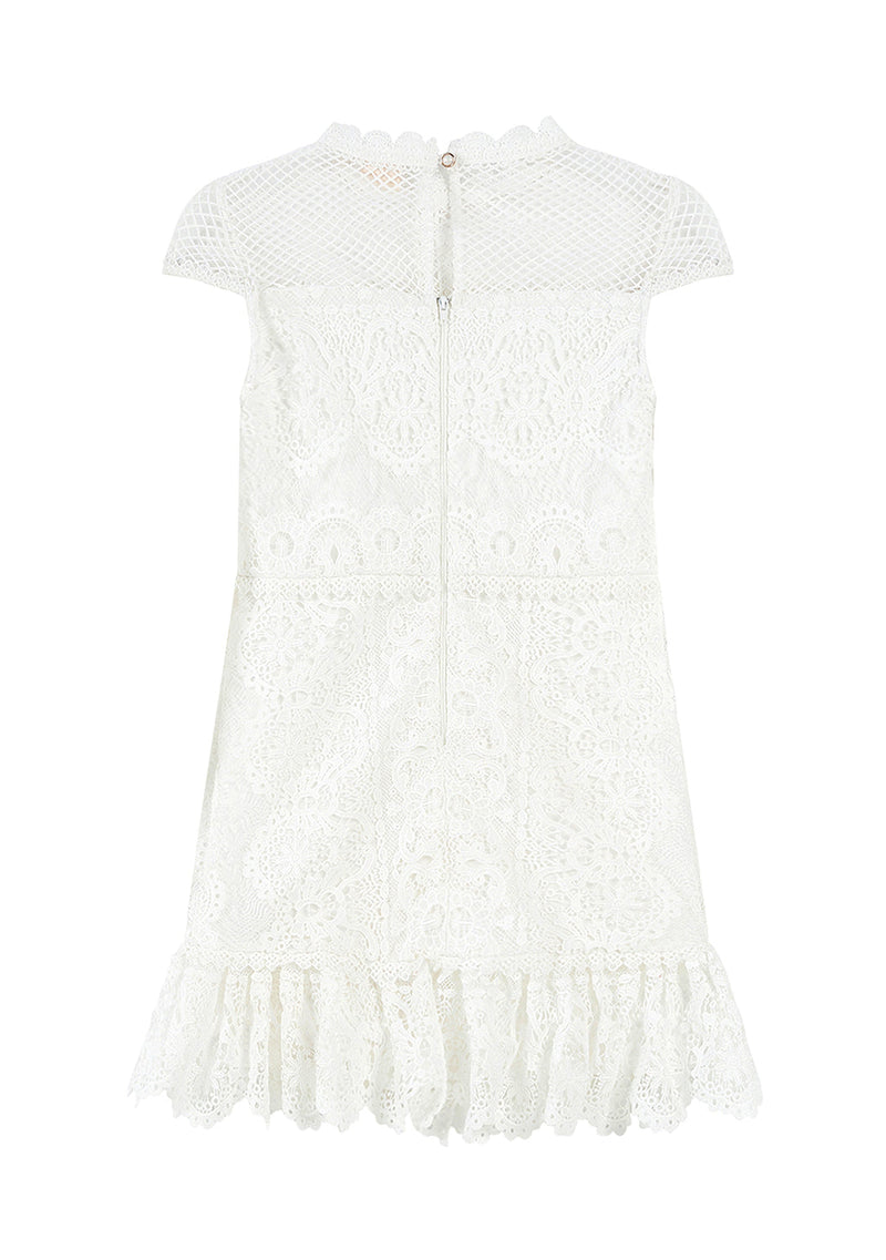 Annalisa Lace Mini Dress