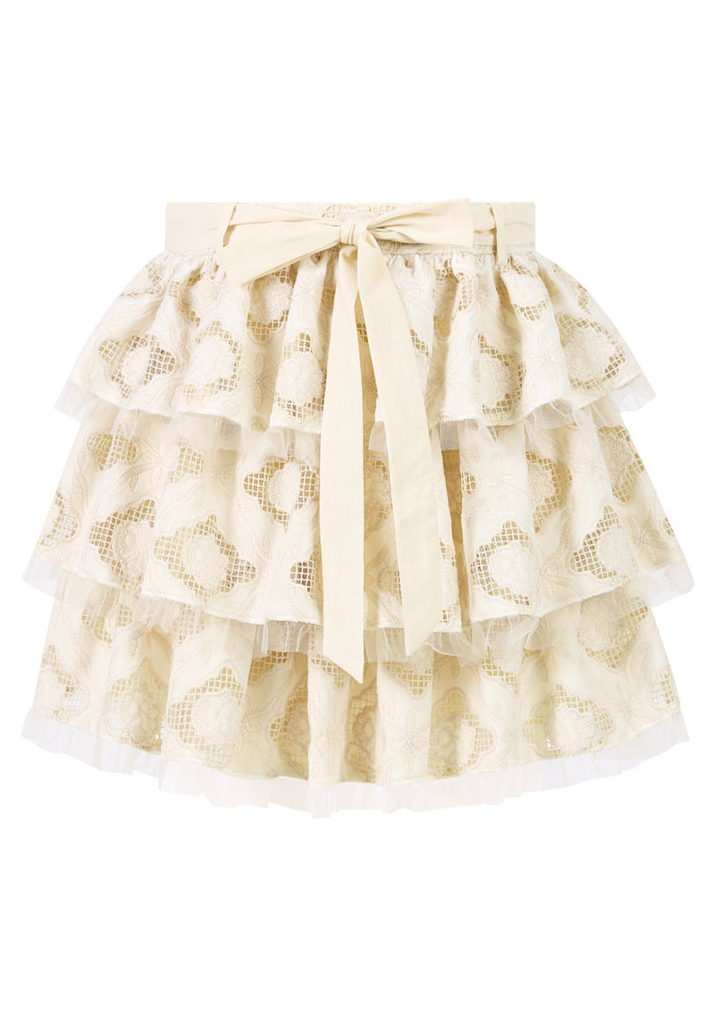 Ava Embroidered Mini Skirt