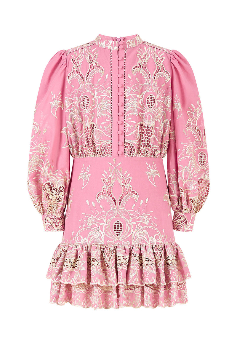 Charm Embroidered Mini Dress