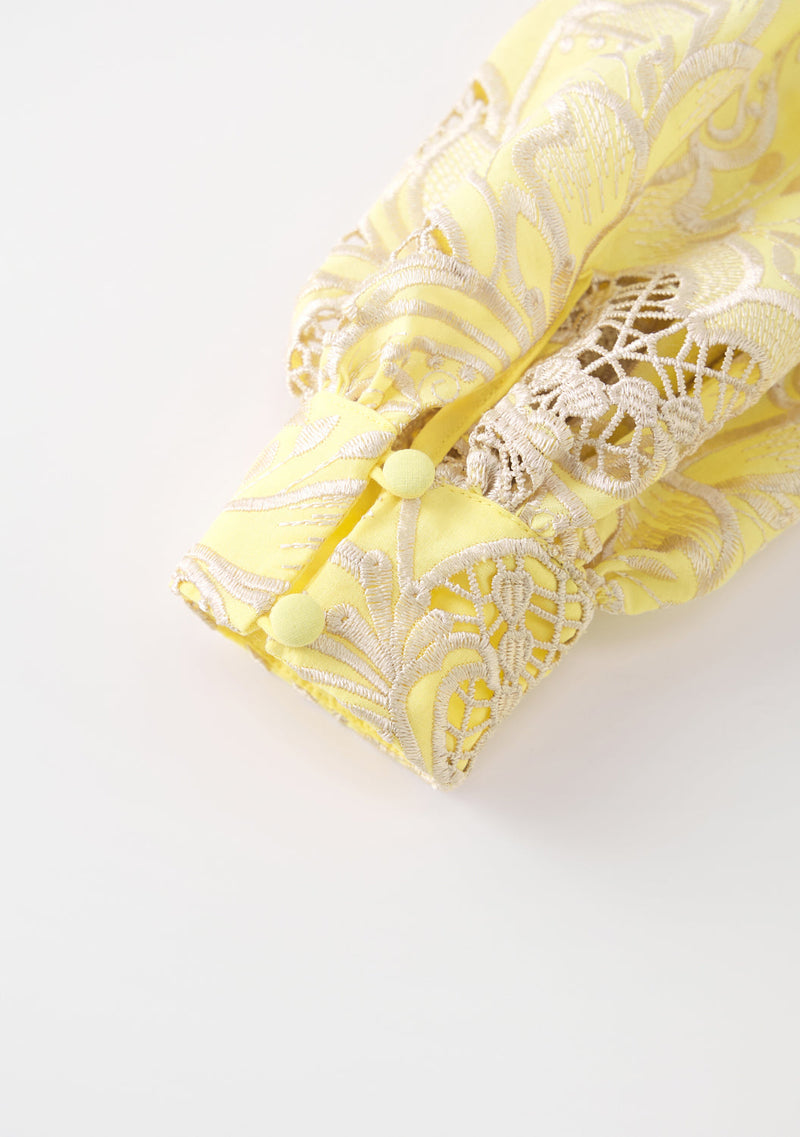 Charm Embroidered Mini Dress