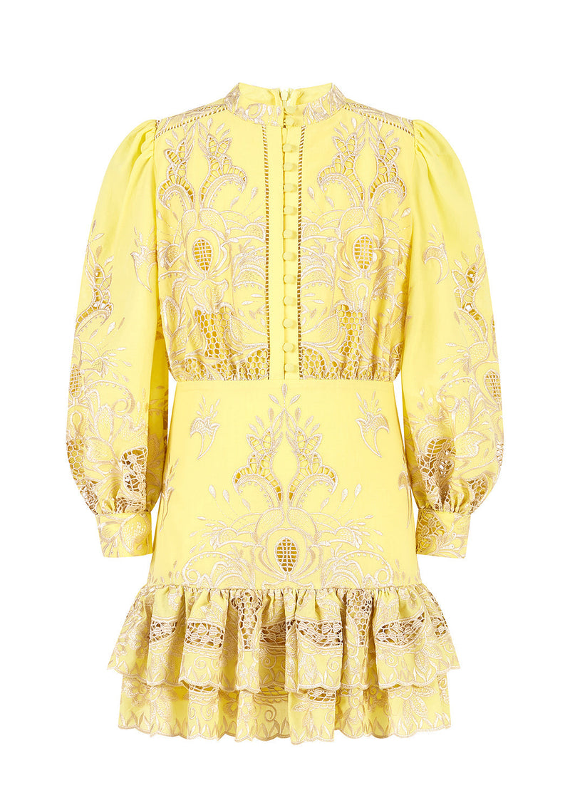 Charm Embroidered Mini Dress