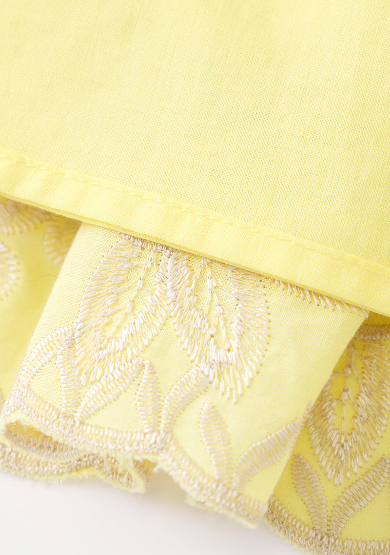 Charm Embroidered Mini Dress