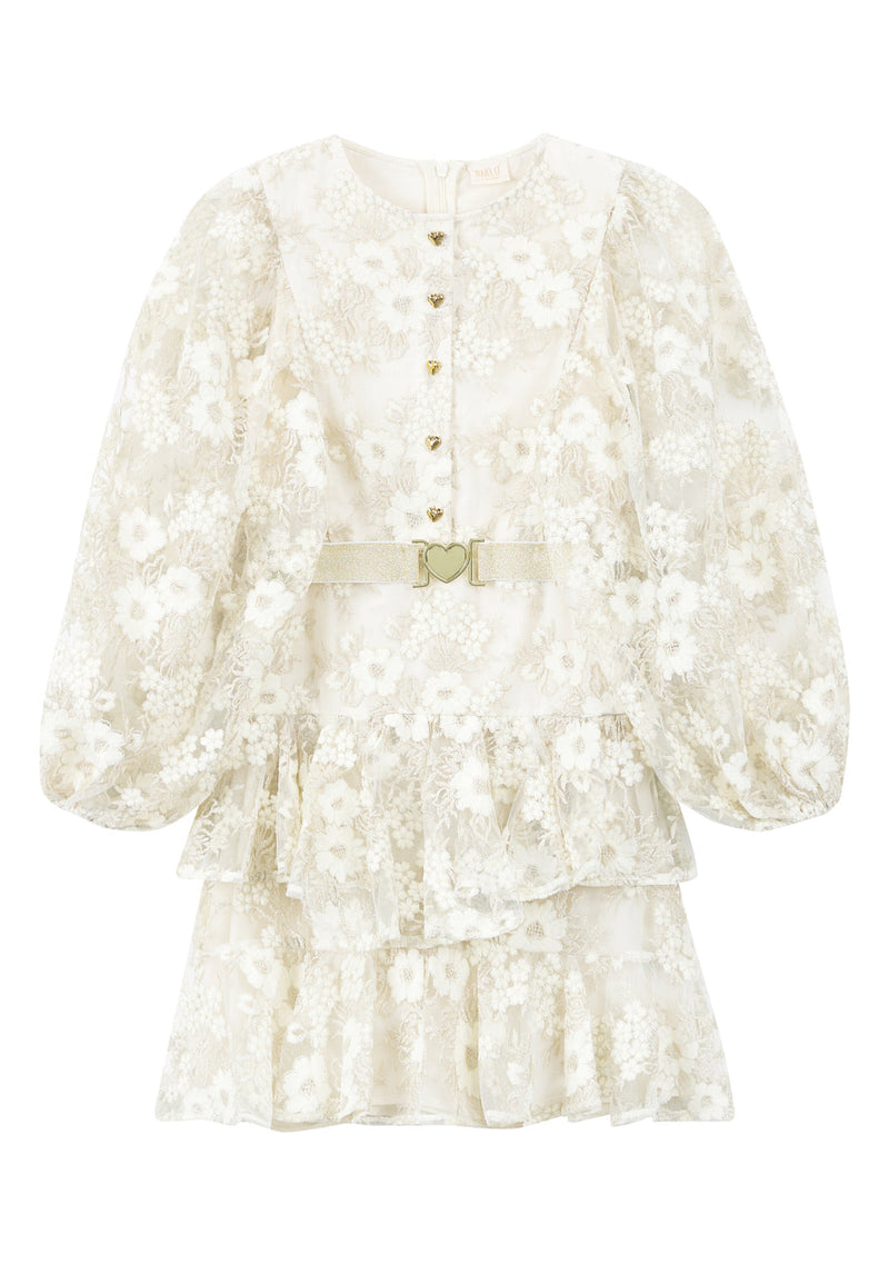 Dorothy Embroidered Mini Dress