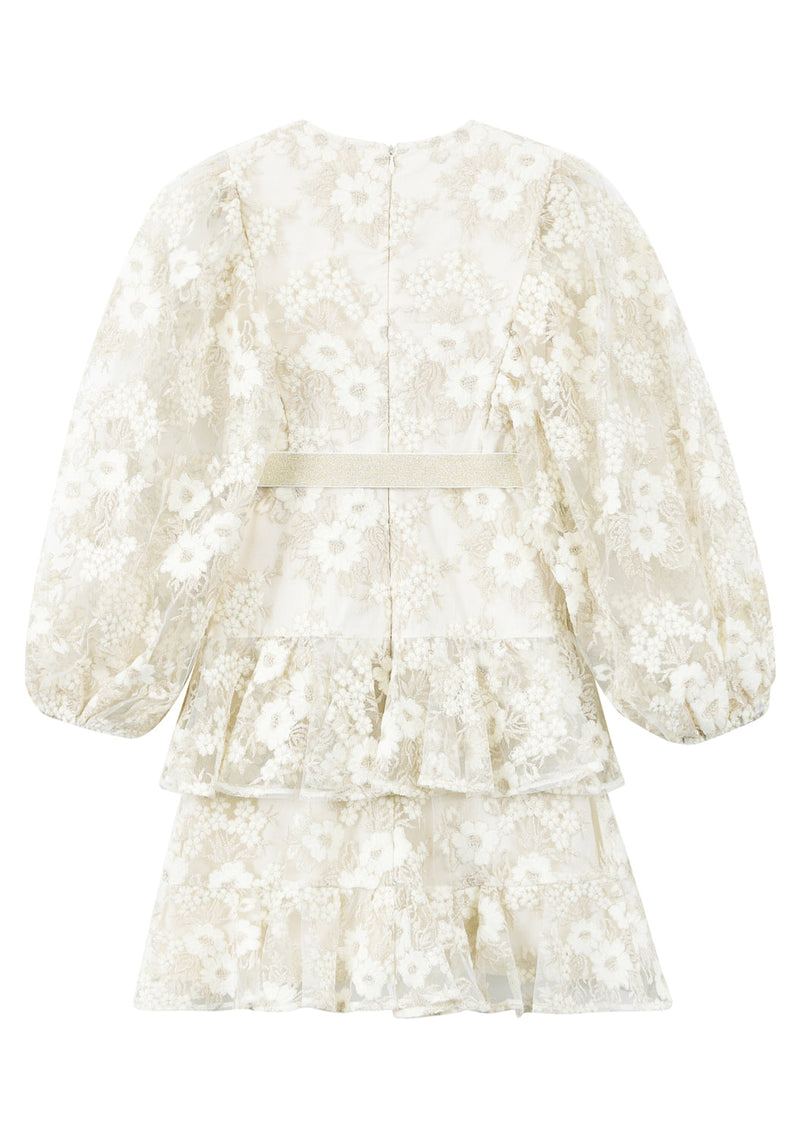 Dorothy Embroidered Mini Dress