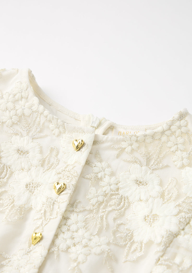 Dorothy Embroidered Mini Dress