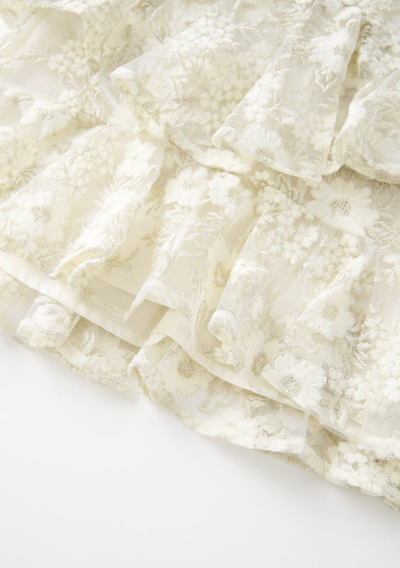 Dorothy Embroidered Mini Dress