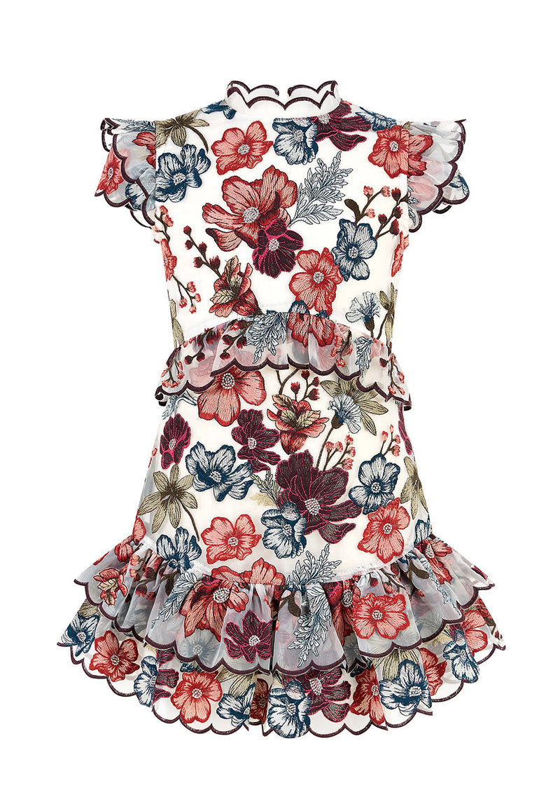 Elana Embroidered Mini Dress