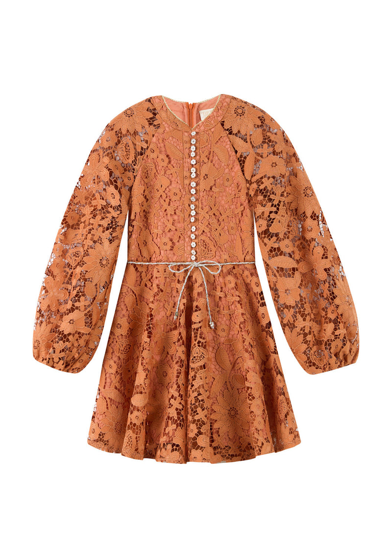 Esme Embroidered Sleeve Mini Dress