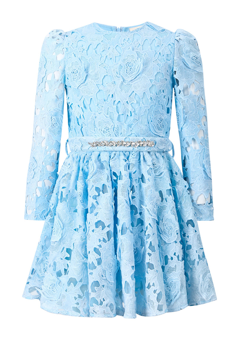 Judy Embroidered Mini Dress