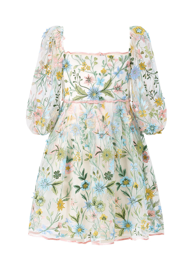 Mila Embroidered Mini Dress