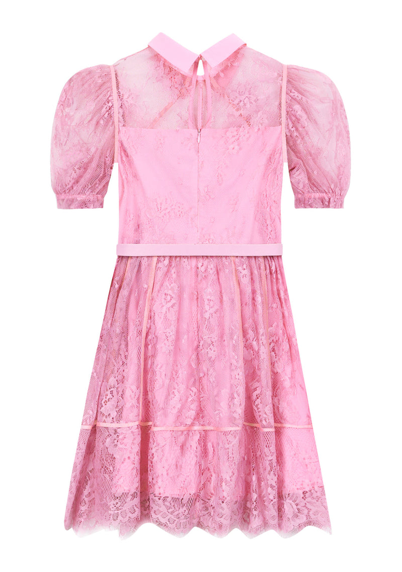 Monroe Lace Mini Dress