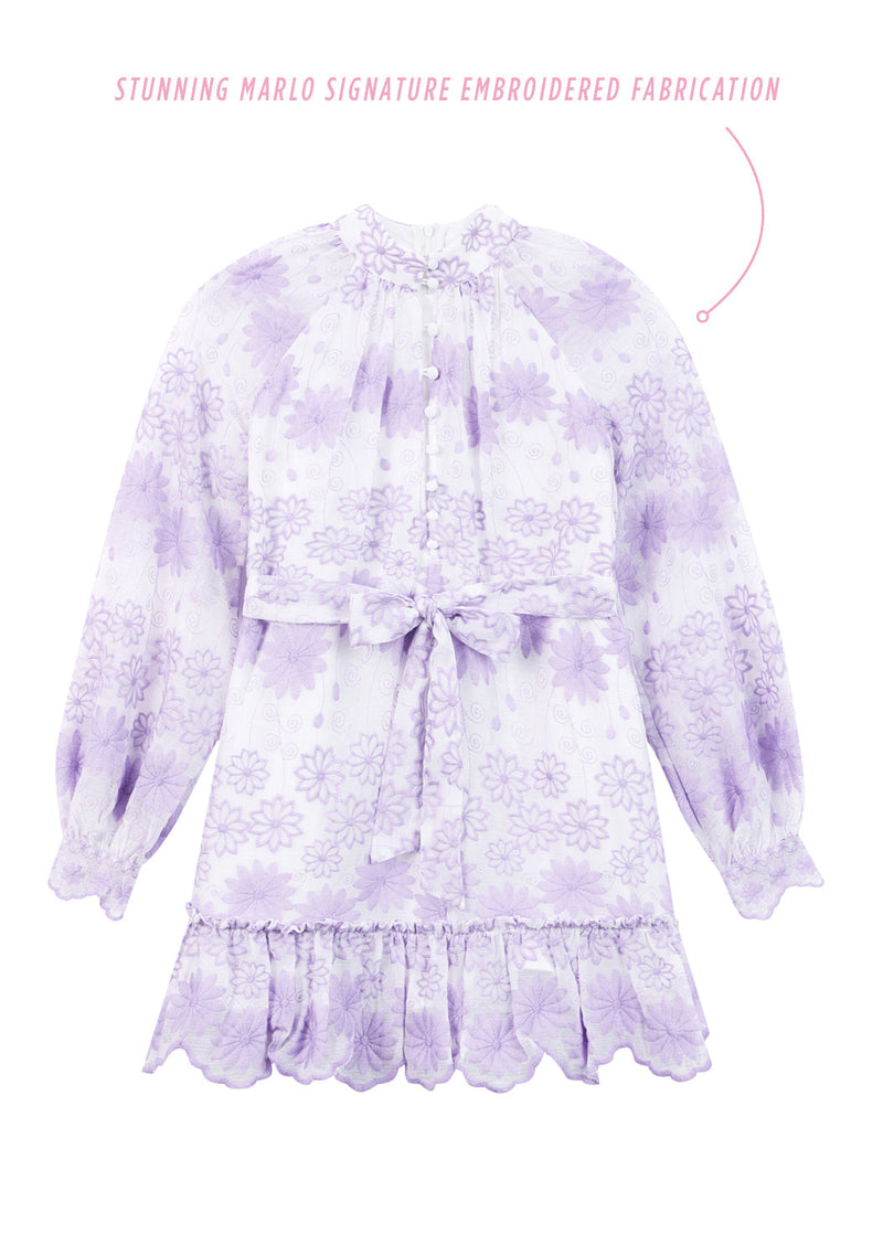 Lena Embroidered Mini Dress