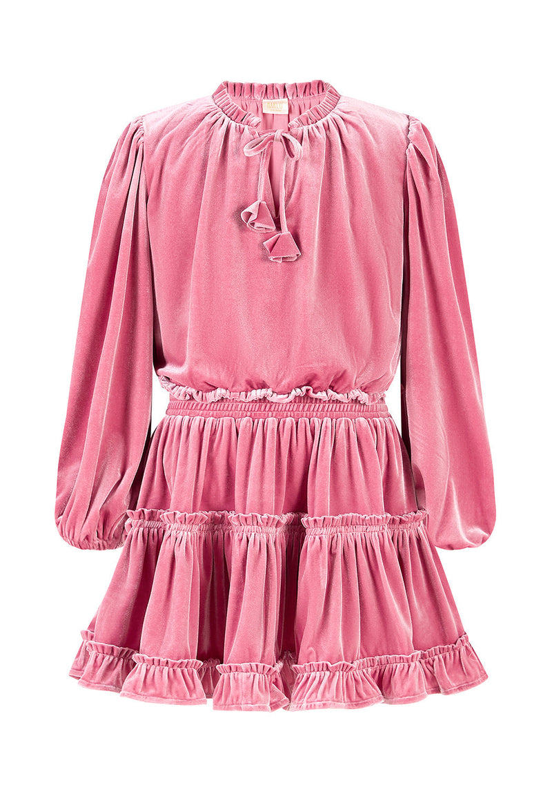 Symphony Velvet Mini Dress