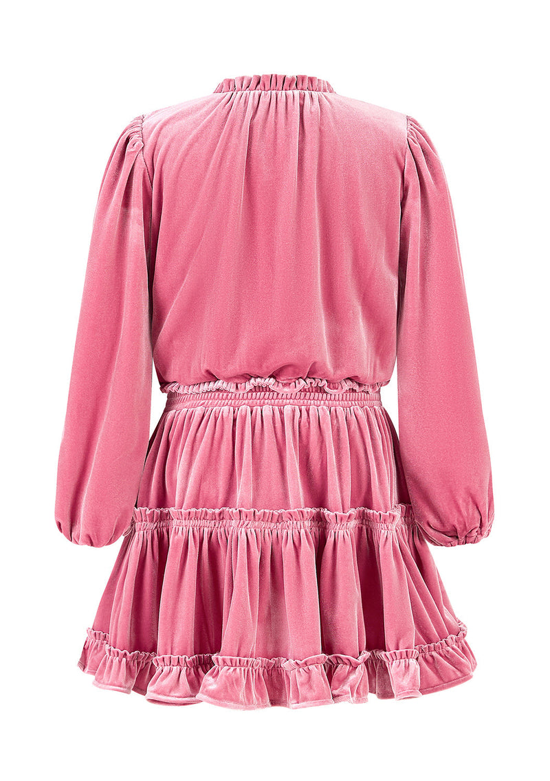 Symphony Velvet Mini Dress